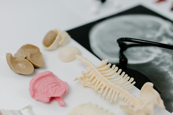 Does Regular Participation in Crossword Puzzles Delay Cognitive Aging?